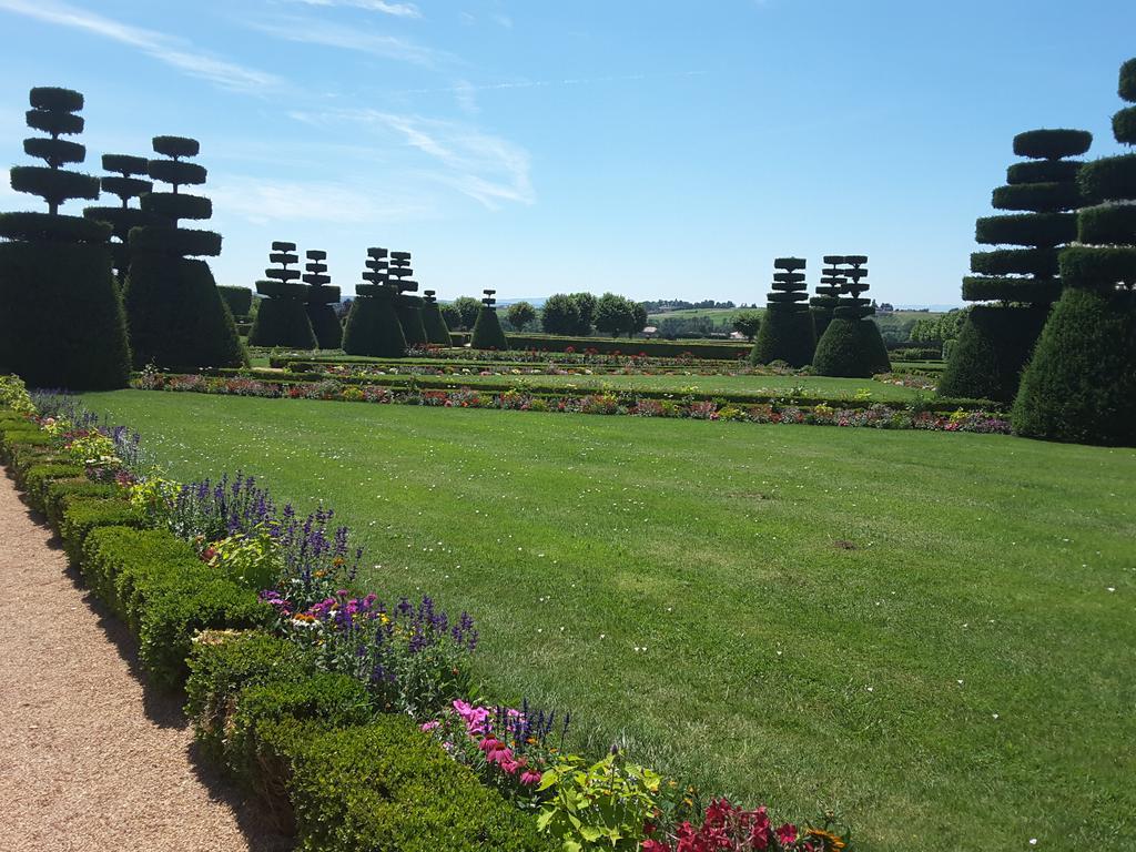 Chateau De Pizay Бельвиль-сюр-Саон Экстерьер фото