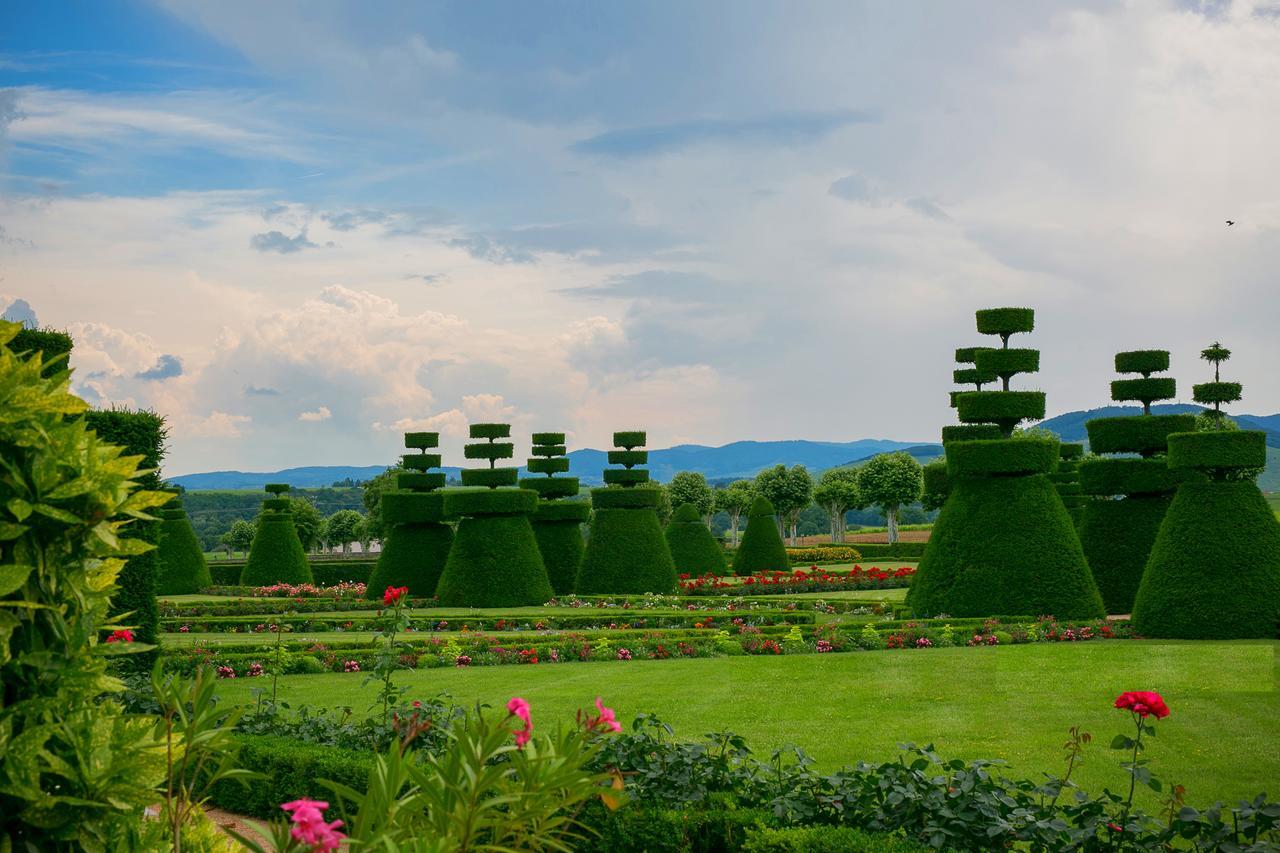 Chateau De Pizay Бельвиль-сюр-Саон Экстерьер фото