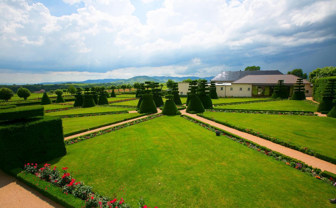 Chateau De Pizay Бельвиль-сюр-Саон Экстерьер фото